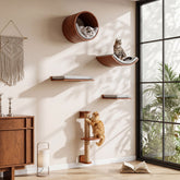 Solid Wood Cat Wall Shelves Set, 5-in-1 Cat Wall Furniture Cat Perches Set for Living Room 3